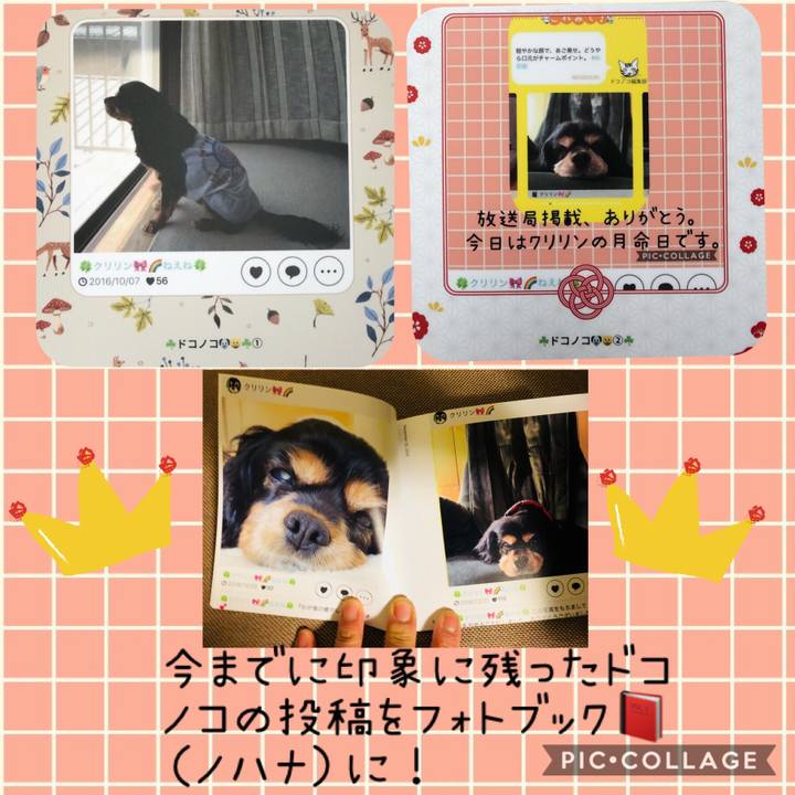 D4cfe6c4 f4f8 4bfa 85e0 b9699d9420a3 1546400625660