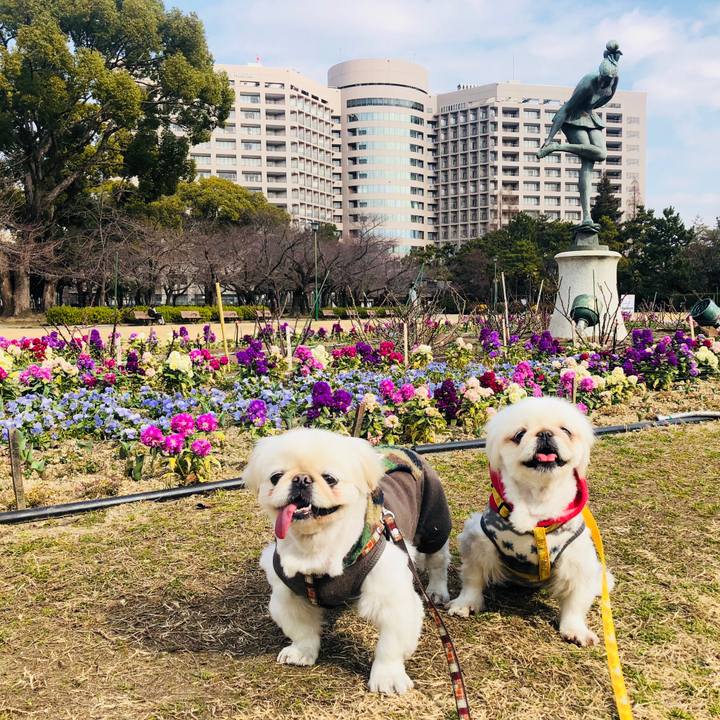 D4d00663 d25c 4ccd a291 ded95786eb9b 1613563825308