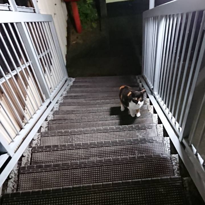 D4d020d1 79a5 4016 979e 48e4e149d666 1537194048282