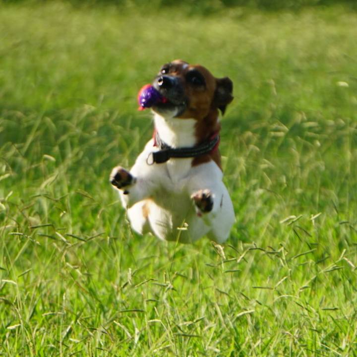 D4d03c2a b50d 4c3a b59d 8c0a0469a76e 1537657368698