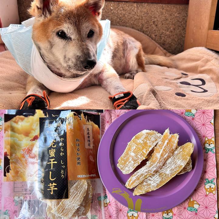 D4d06d78 c09f 4043 a2bf 478920abbfef 1764915680889