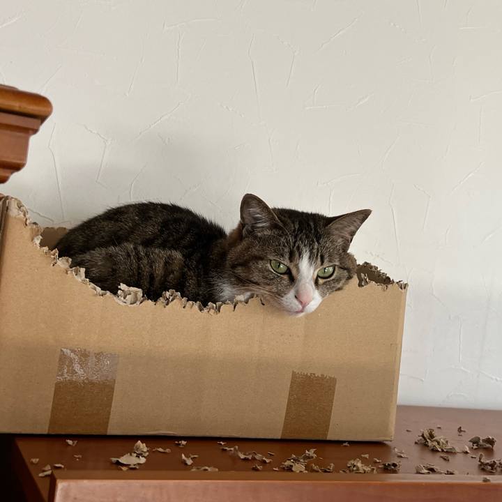 D4d09acb 088e 4136 8699 1a7719663d9a 1748522373566