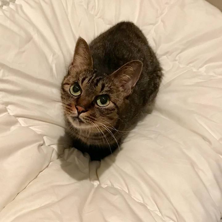 D4d0a460 ee6f 4669 a8eb f0ff7e18ccf1 1765070322815