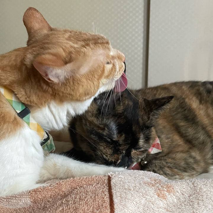 D4d0af26 419c 4746 bd55 8f3a740389a9 1752968311238