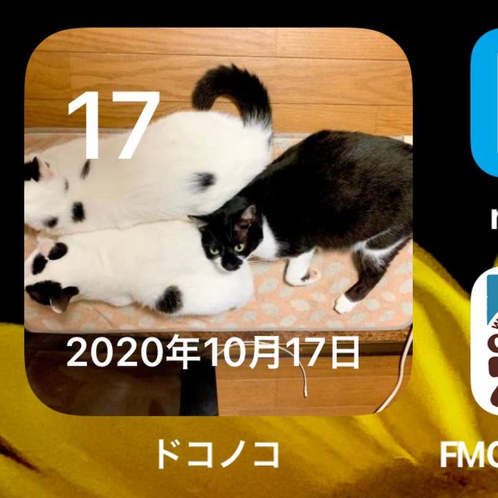 D4d0e39c 090f 412f aefe f09da57cb44c 1634432364357