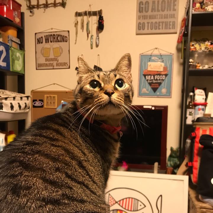 D4d0f112 6e10 42bc 86c4 45e0061d67f9 1545924166232