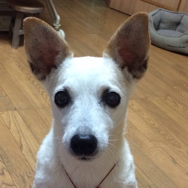 D4d127c6 30b8 42af 808a 20715fbb0aae 1534753289451