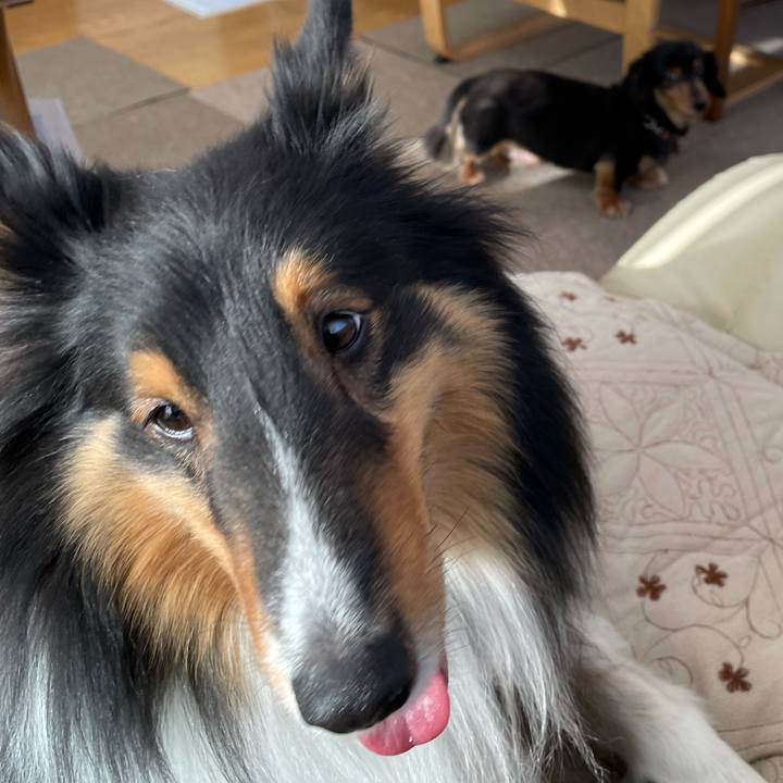 D4d1d3b4 87a6 47bc 8899 fad88f925e96 1642203815322