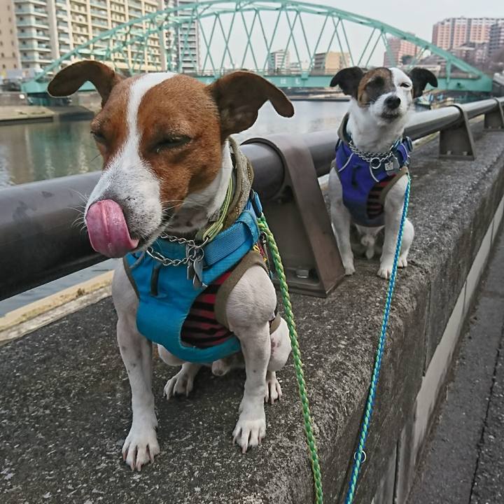 D4d1db56 b6c6 48f7 af1a ba67ef694fb9 1614568402010