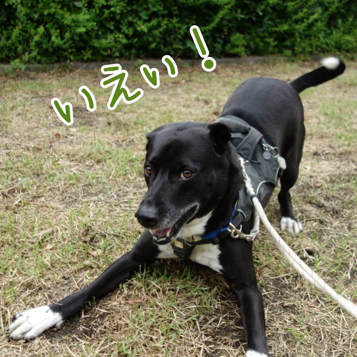 D4d200d0 14f2 42b6 9e0a aa0827644246 1652658607199