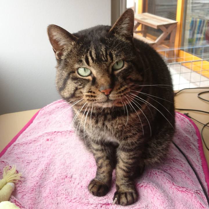 D4d213a1 4710 4f58 b0f5 1804878b725e 1521030432860