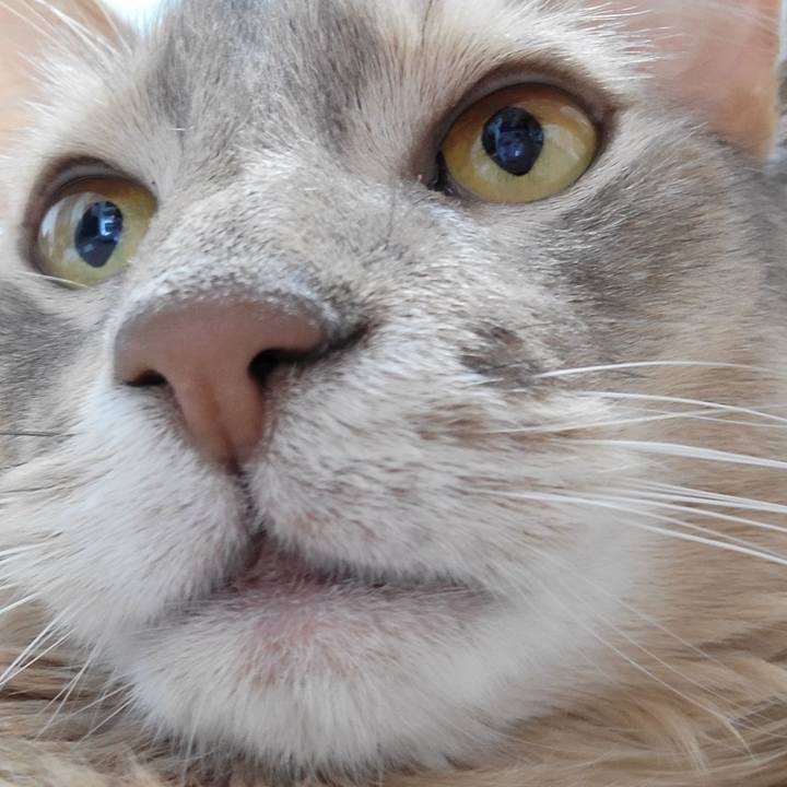 D4d2174a aa55 4384 933d ffe4f4cae808 1646182976958