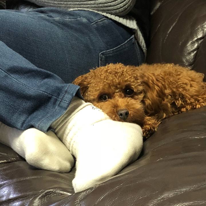 D4d2337a 6952 4b3f a596 8f9a5eb184ad 1513684319026