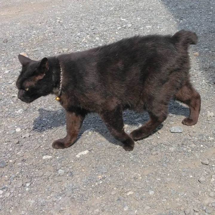 D4d24783 c40e 49de a5ee ddf932edcd90 1687046036080