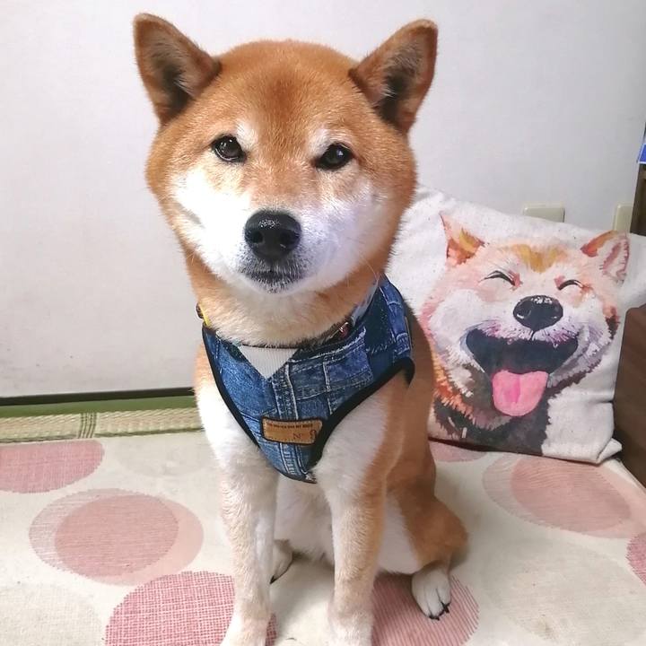 D4d2845c 26aa 4727 accf feccf7c6f6c0 1652709804636