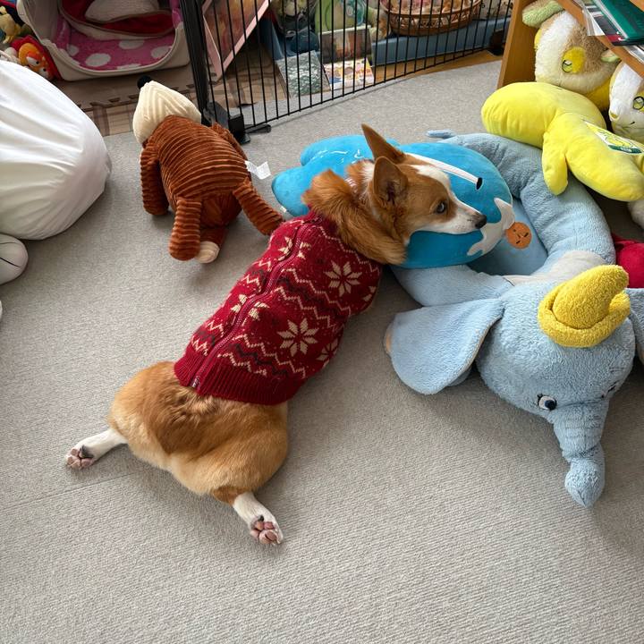 D4d2f4e1 1bbe 493a a24c 5d9d59783f17 1768891045780