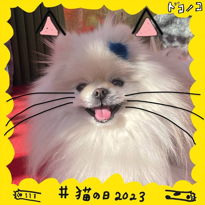 D4d2fe75 fc83 4ce9 b909 01f9a84f94de 1676995765130