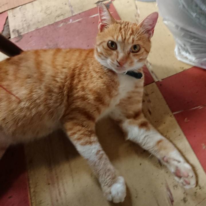 D4d3243a 7ae0 41a5 a064 3da9a454d209 1563147964173