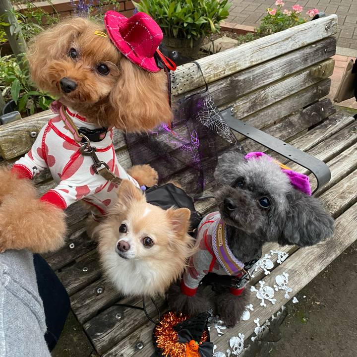 D4d3560f 7efe 48be 889b 56457a56e650 1635464623045