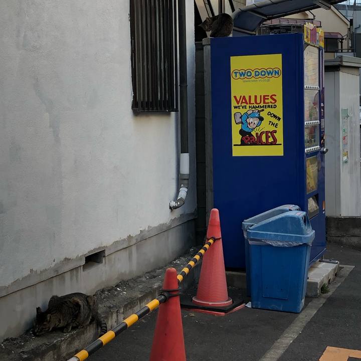 D4d3a239 1535 4bd7 8c93 2638e7fb2949 1554473679347