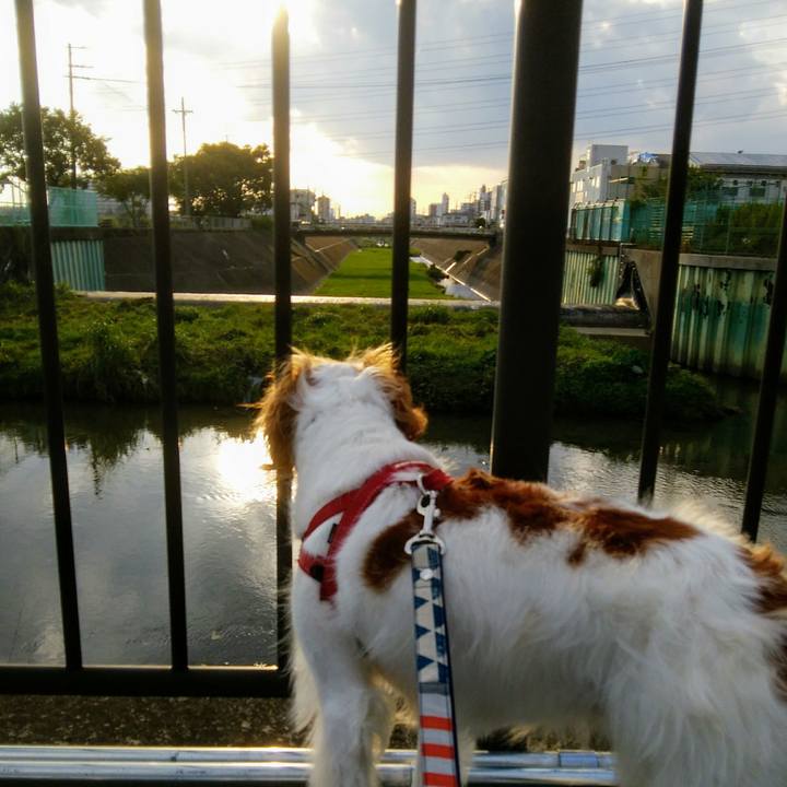 D4d3f932 4757 4078 a91c ac598c597063 1537098229130