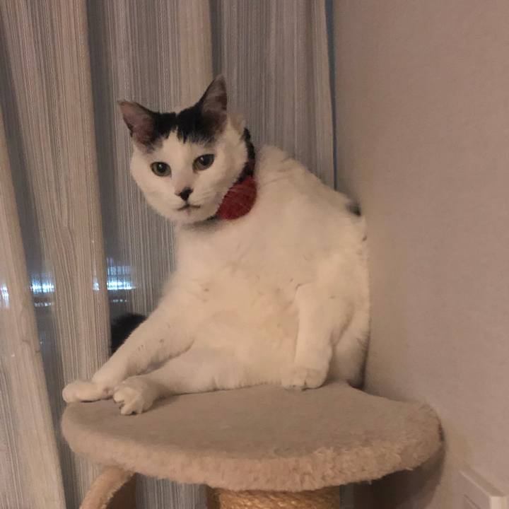 D4d4075a 833c 45cb abea b17222f8d8fb 1548336460837