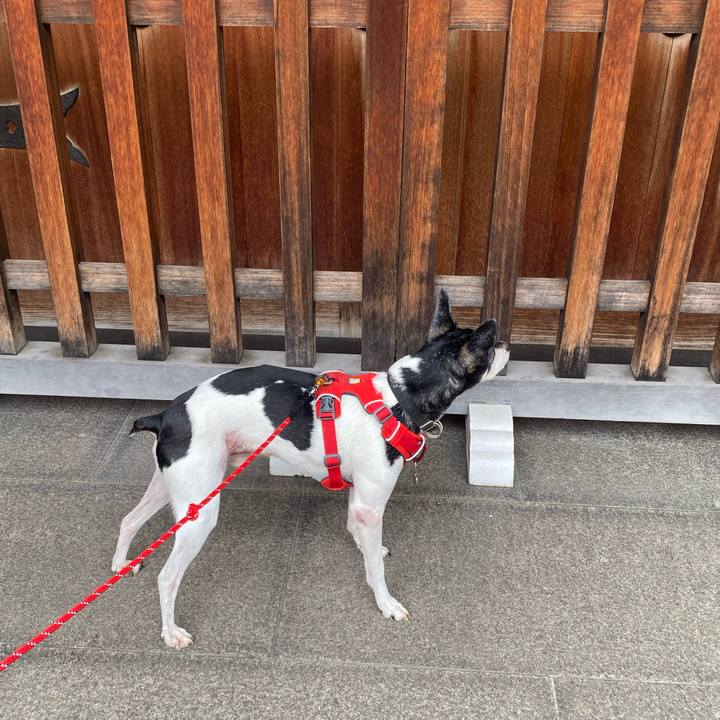 D4d41a49 0fee 4f9d b09a c5b2dc928e5c 1617508365095