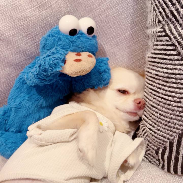 D4d42eaa 8935 4e28 b040 a4c3625d38d7 1696327037677