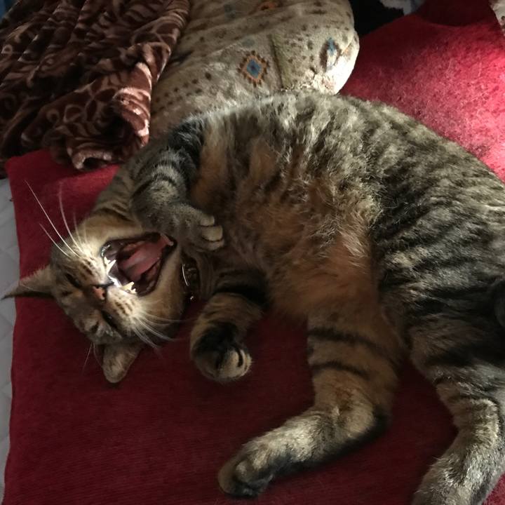 D4d450b4 7431 43aa 9cbb 531a57c80061 1507935861665