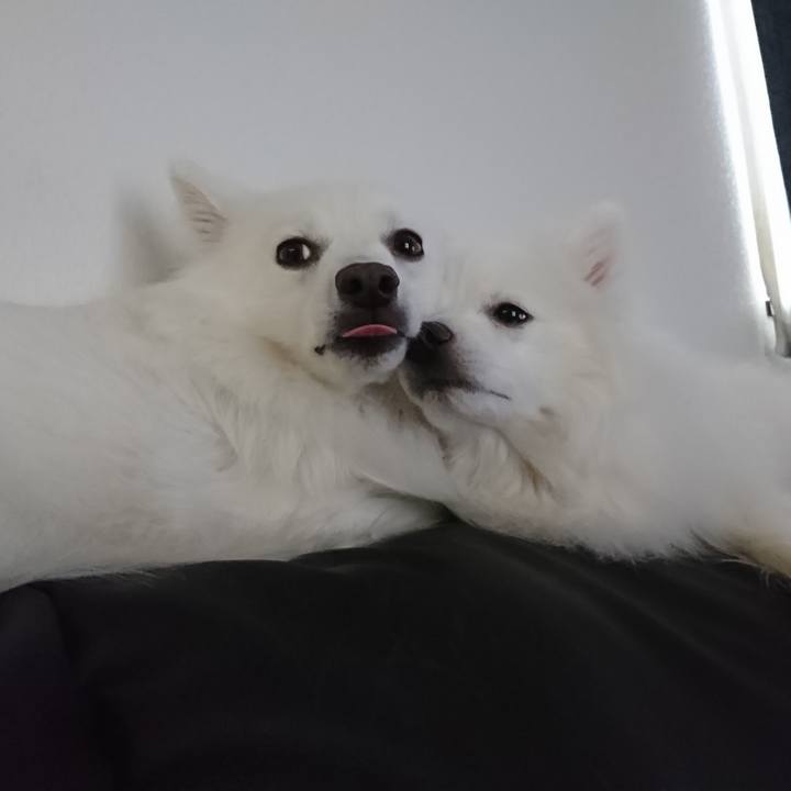 D4d46403 6dca 479e a262 e35e1d163240 1583298266031