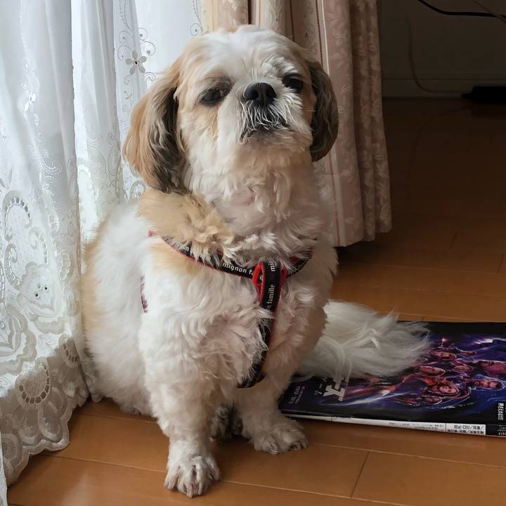 D4d48702 cc8d 4271 b1ad deafe39b90c1 1566616292665