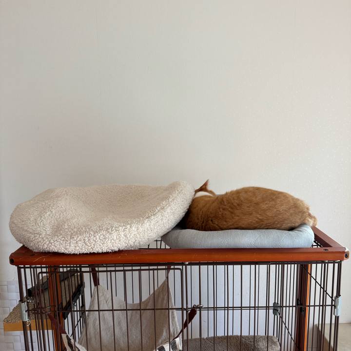 D4d4bc26 af2c 42f6 9bff 9b3903652f51 1763860190752