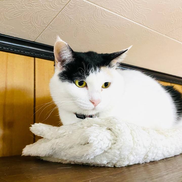 D4d4bffc c604 4c66 9cfa c38dd5fc7eb3 1684534213603