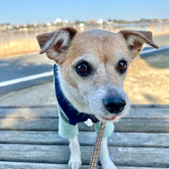 D4d4c840 4935 483a 9564 a5c827ca6cdb 1676714519330