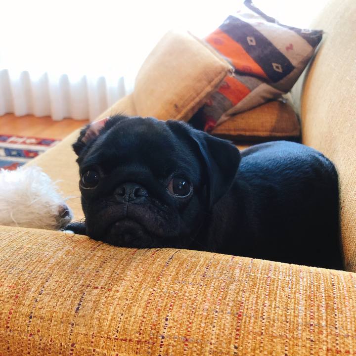 D4d4e363 e806 4e60 abdd 2ce1a1976b1d 1599885485232