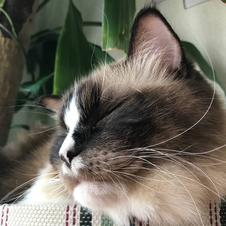 D4d4f25d 3c15 42e1 a5ae 14679c7985a3 1537676728363