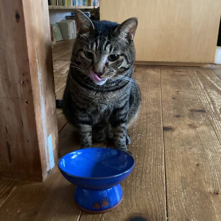 D4d4f351 8099 4b10 892a 546ec315a26b 1728085047567