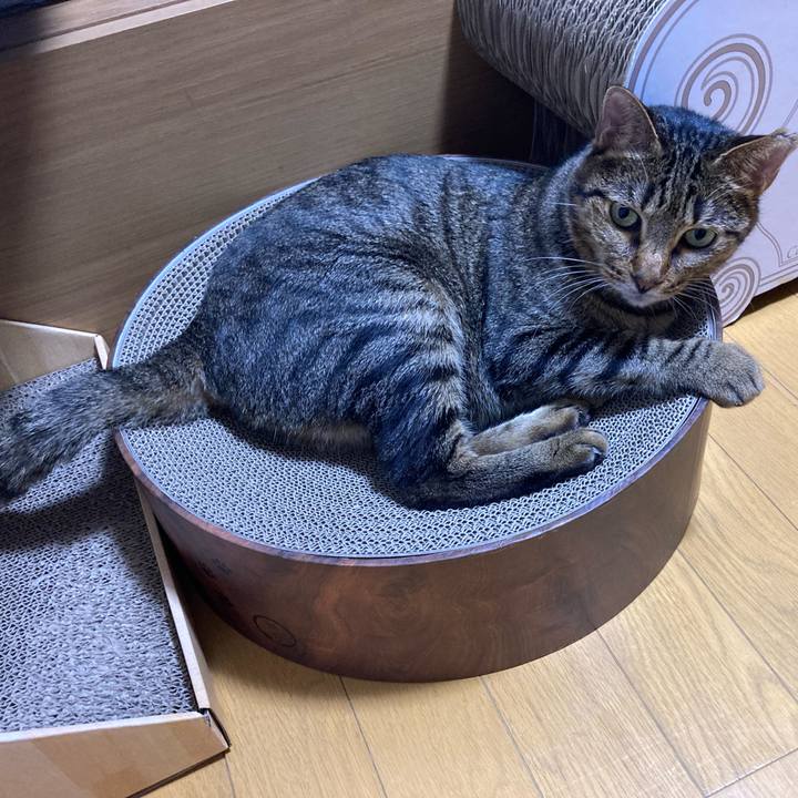 D4d4fb2b c186 4a5d b8cf fd9e61c72368 1695695452139