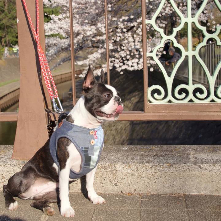 D4d50a5b e74b 4987 8918 f1160188fb6c 1521968208558