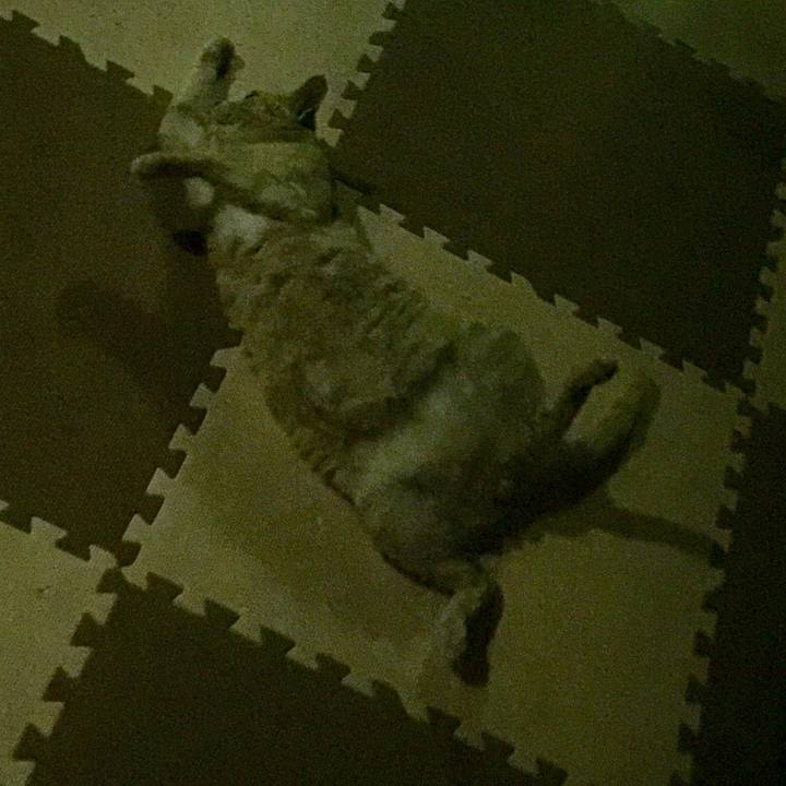 D4d518ba e384 4c91 af37 3ea62759bc05 1566413021829