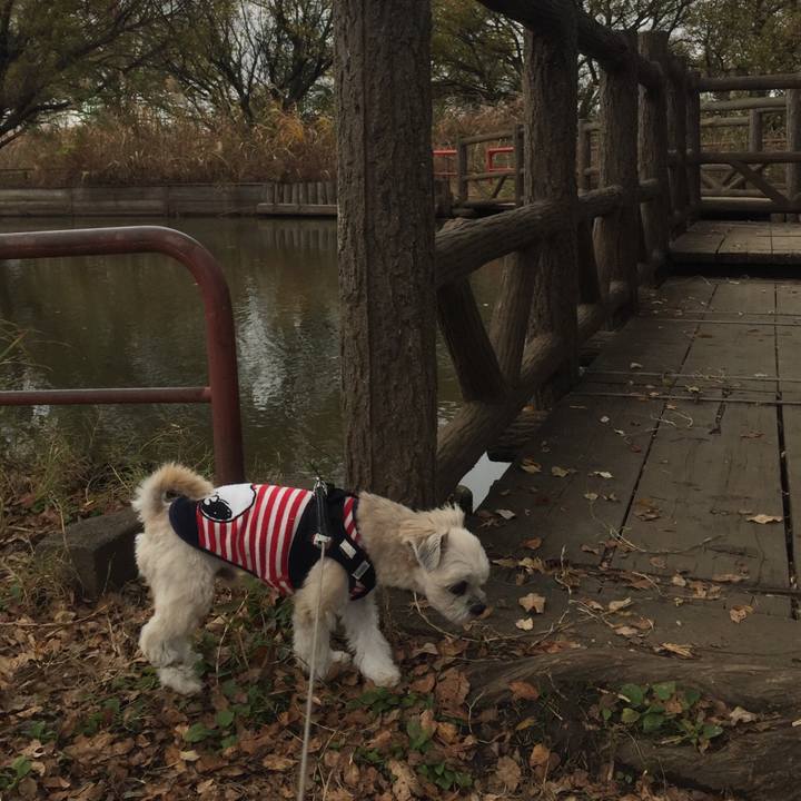 D4d52f3e 36f3 4b4f abfc e2448bc28965 1543316080087