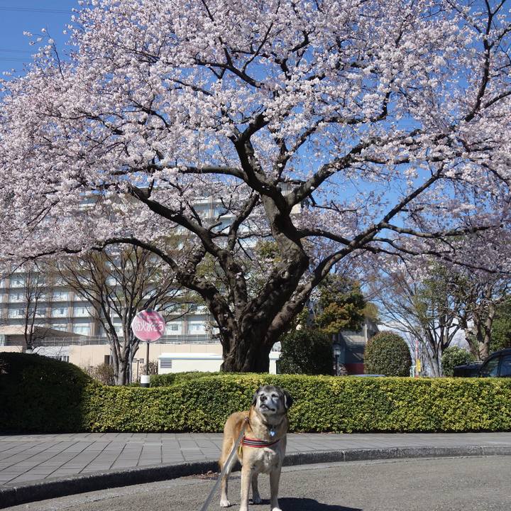 D4d5450e 091c 4284 a213 f7ac43a59450 1743641130926