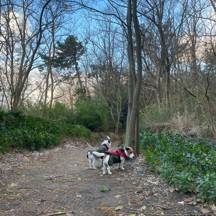 D4d5451a 9088 45bf 8db2 af0b7d4d18c5 1765497393279