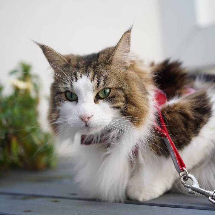 D4d577f5 28ea 4505 a509 f0344676c452 1616123517597