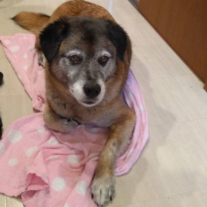 D4d58de8 0192 4c0b b87f 33d603cb0e26 1560220181726