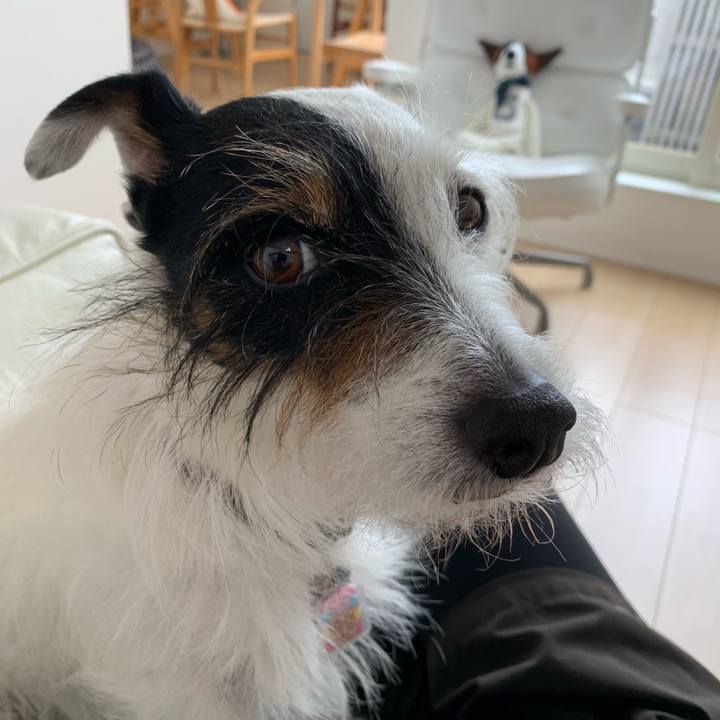 D4d5ba5e 861e 4d75 a57d c57e86e3a2a1 1652318559132