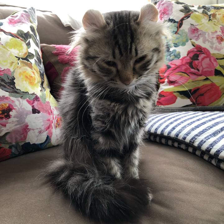 D4d5bcaf a7a2 4acb aeae 2c7e6ffb018b 1522825331134