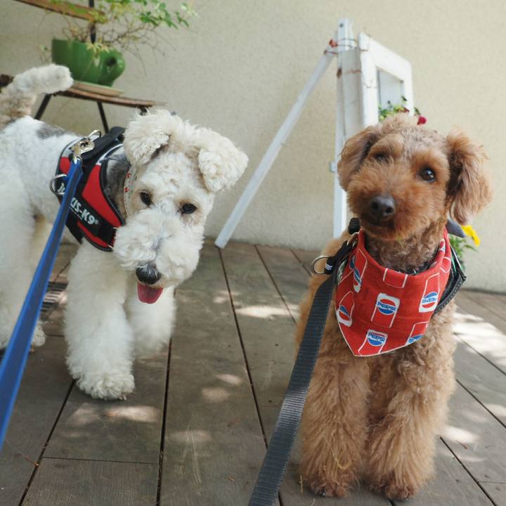 D4d5f172 0815 4945 844d 16c77c4d1b48 1525018326503