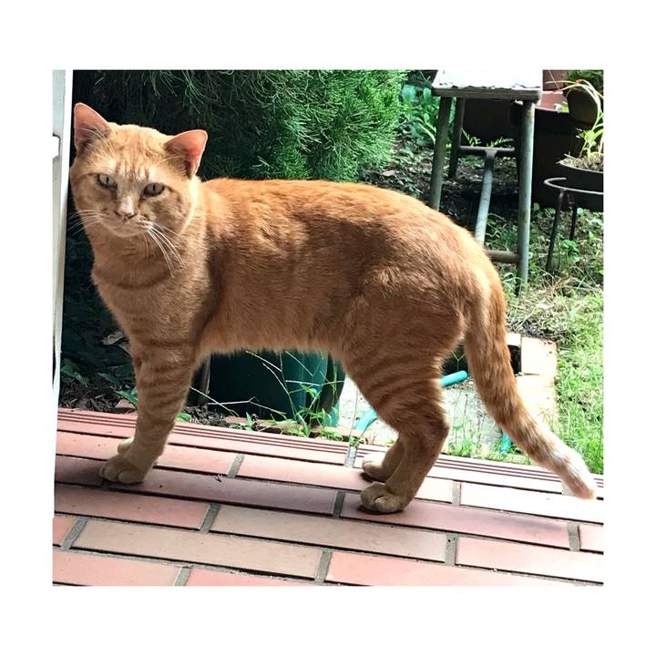 D4d61e3b 5335 4e04 a3c9 620d82edf6fd 1636965544755