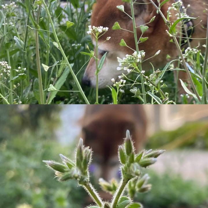 D4d62ba3 14ac 41ba 819b e5147654cb0b 1647850975548